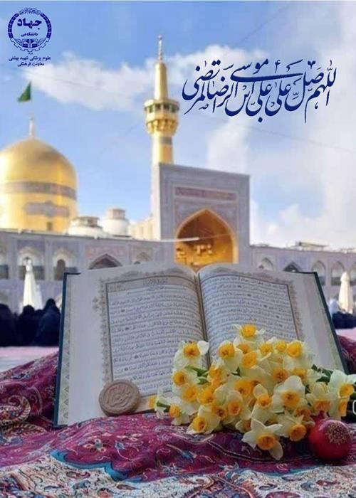 ویدیو گزیده ای از احادیث امام رضا(ع)